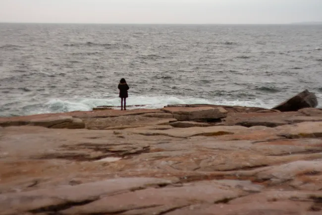 A person stands on a rocky, reddish-brown shore, looking out at a grey, choppy ocean under an overcast sky. The individual, seen from behind, wears a dark coat, with waves breaking against the rocks near their feet.