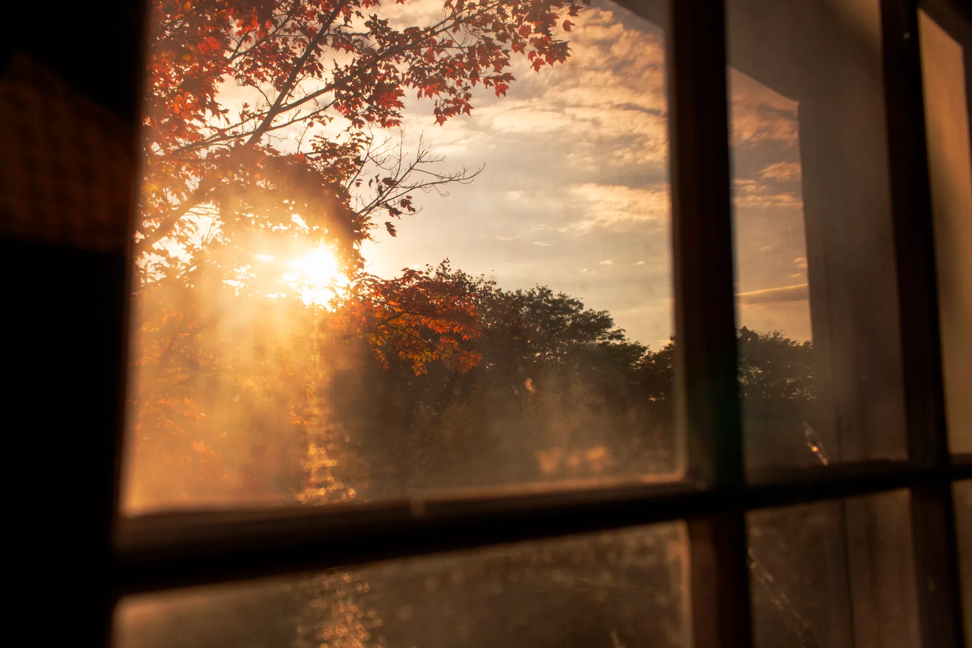 Golden sunlight streams through a window, illuminating autumn leaves on trees outside. The sun’s rays are visible through the slightly dusty window pane, with reddish-orange foliage prominent in the foreground and darker trees in the background under a cloudy sky. The window frame is dark and partially visible on the left and right sides.