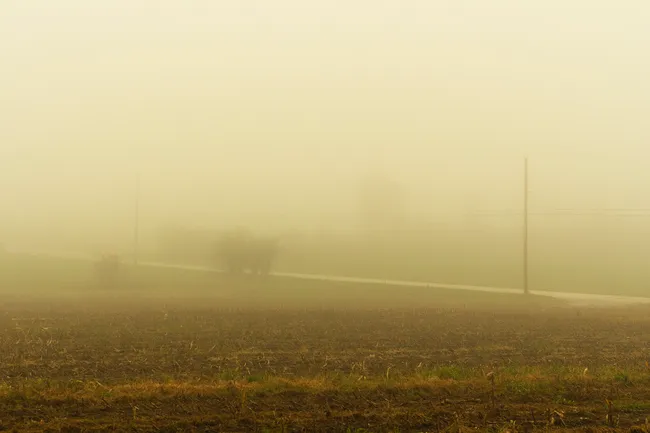 A yellow tinted photography looking across a field, bisected by a road with telephone poles that disappear into the fog.