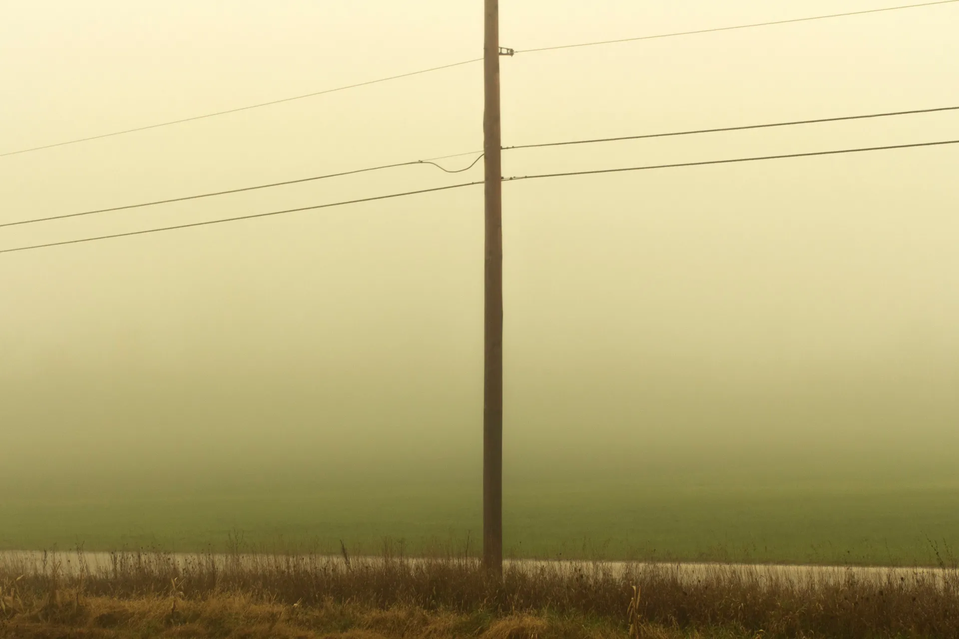 A utility pole stands in the center of a misty, rural landscape. The sky is a hazy, pale yellow-green, fading into a darker green field. In the foreground, there’s a strip of dry, brown grass and a thin, light-colored line of a road. Three power lines stretch horizontally across the upper half of the image from the pole.