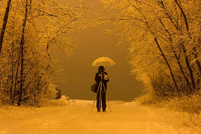 Molly standing in the snow in front of her camera mounted on a tripod with an umbrella attached to it. Snow covered trees are either side and everything is tinted yellow.